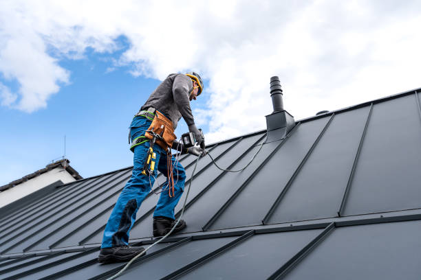 Best Sheet Metal Roofing  in Wolf Point, MT